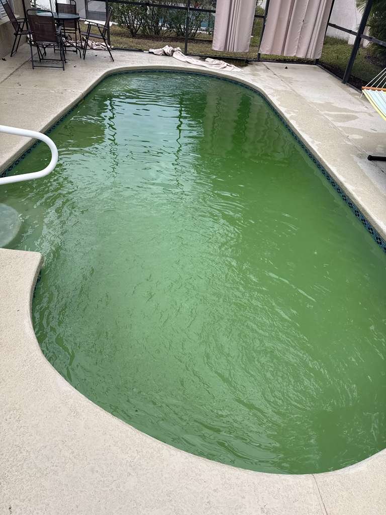 Cloudy pool before cleaning